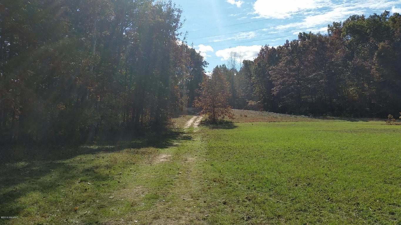 966 E Townline Rd, White Cloud, MI 49349 photo 85
