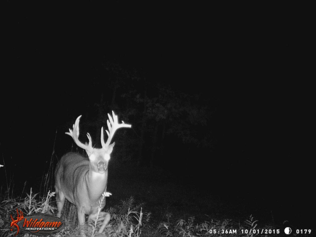 966 E Townline Rd, White Cloud, MI 49349 photo 60