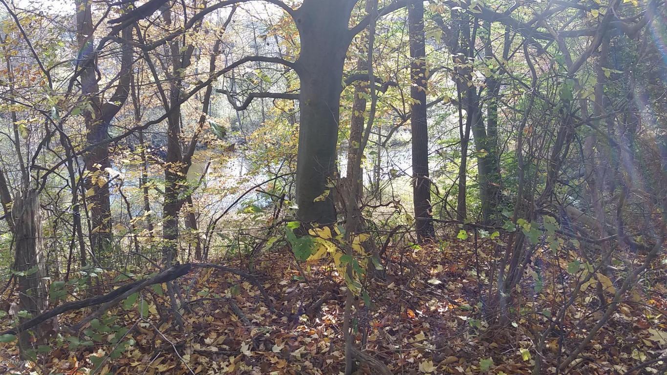 966 E Townline Rd, White Cloud, MI 49349 photo 84