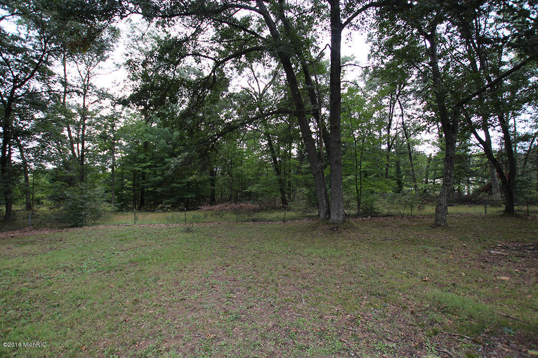 2709 S Walnut Ave, White Cloud, MI 49349 photo 20