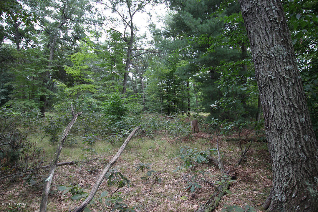 2709 S Walnut Ave, White Cloud, MI 49349 photo 22