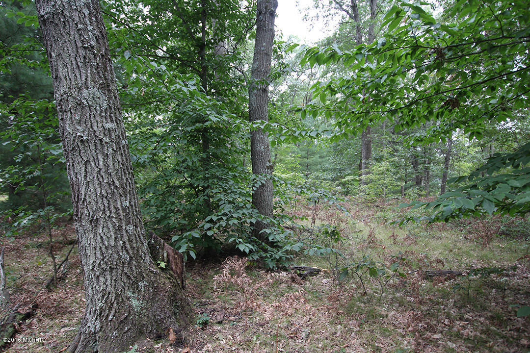 2709 S Walnut Ave, White Cloud, MI 49349 photo 23