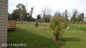 7140 Hall Rd, Bellevue, MI 49021 photo 10