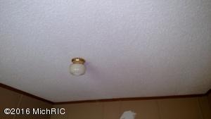 7140 Hall Rd, Bellevue, MI 49021 photo 15