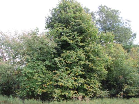 7980 Cascade Rd SE, Ada, MI 49301 photo 1