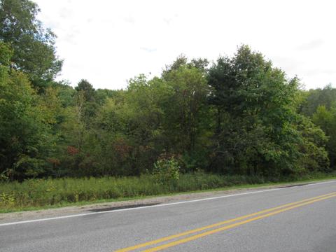 7980 Cascade Rd SE, Ada, MI 49301 photo 2
