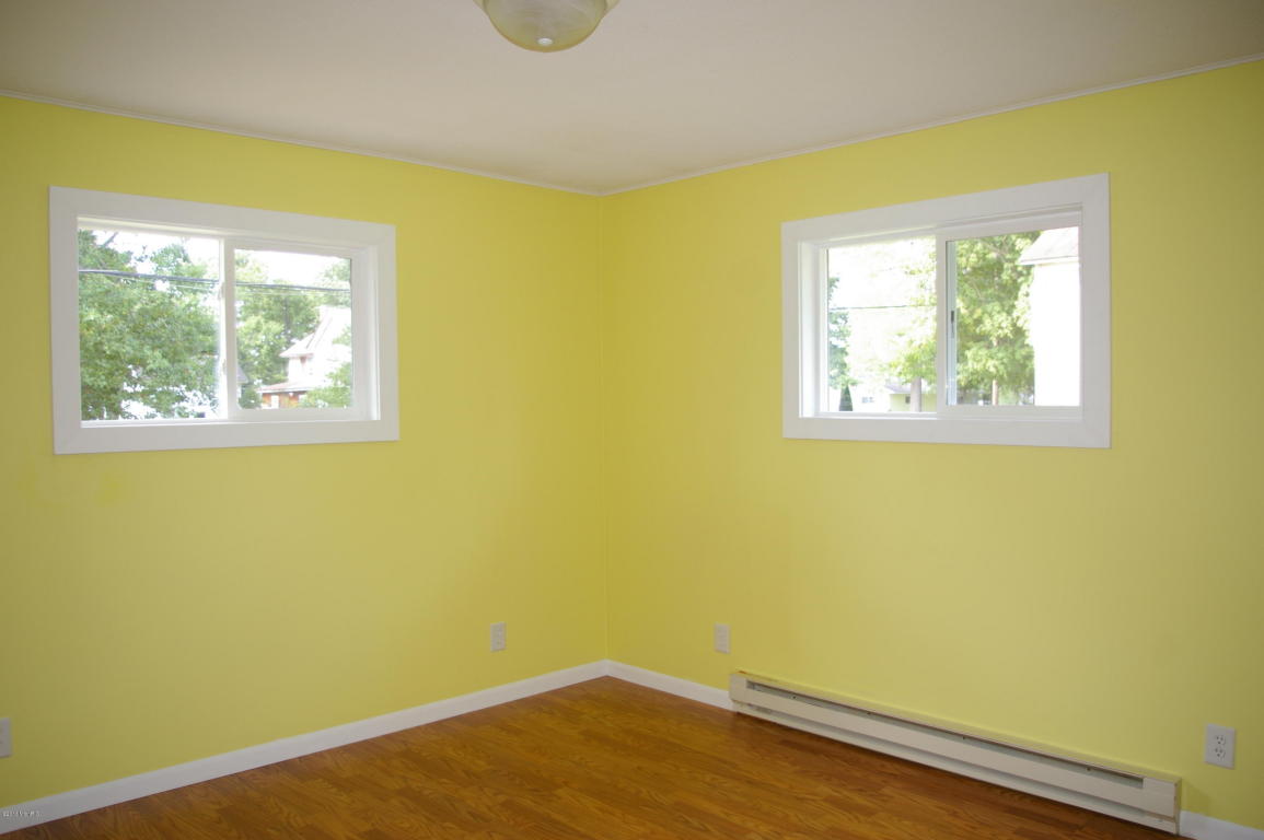 222 N Tabor St, Lyons, MI 48851 photo 8