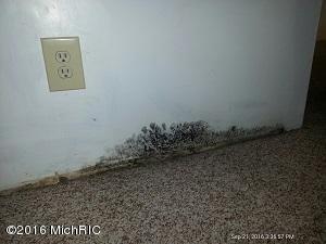 6846 Cherry St, Coloma, MI 49038 photo 26