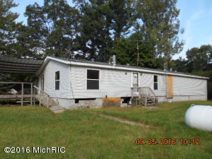 226 S Cherry Ave, White Cloud, MI 49349 photo 3