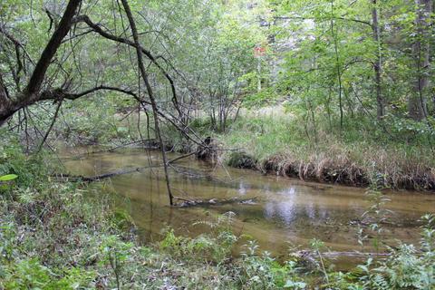 6135 E Hansen Rd, Custer, MI 49405 photo 33