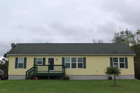 6135 E Hansen Rd, Custer, MI 49405 photo 1