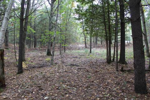 6135 E Hansen Rd, Custer, MI 49405 photo 37