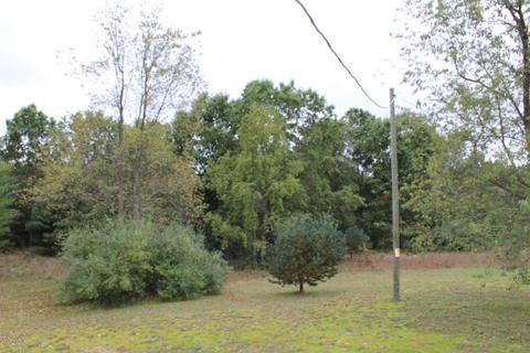 6135 E Hansen Rd, Custer, MI 49405 photo 20