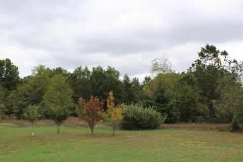 6135 E Hansen Rd, Custer, MI 49405 photo 3