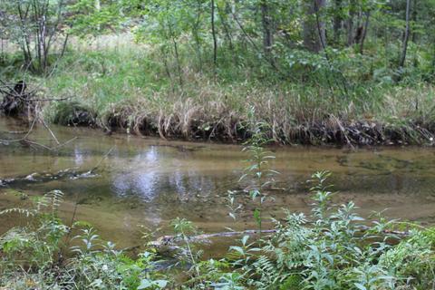 6135 E Hansen Rd, Custer, MI 49405 photo 34