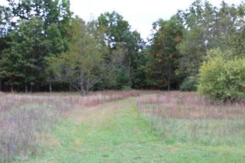 6135 E Hansen Rd, Custer, MI 49405 photo 32