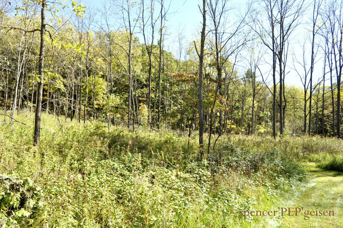 5600 Flat River Trl, Belding, MI 48809 photo 27