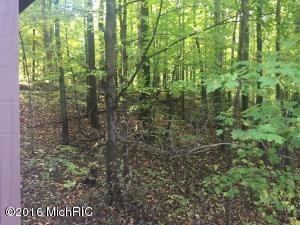 56230 Griffis Rd, Cassopolis, MI 49031 photo 37