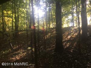 56230 Griffis Rd, Cassopolis, MI 49031 photo 11