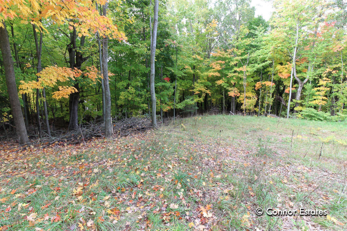 829 Shepard Dr, Lowell, MI 49331 photo 2
