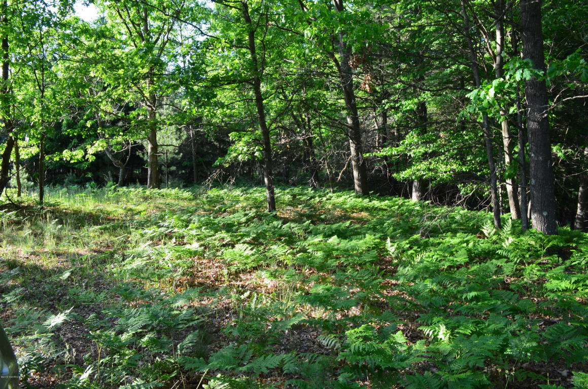 1224 N Spruce Ave, White Cloud, MI 49349 photo 25