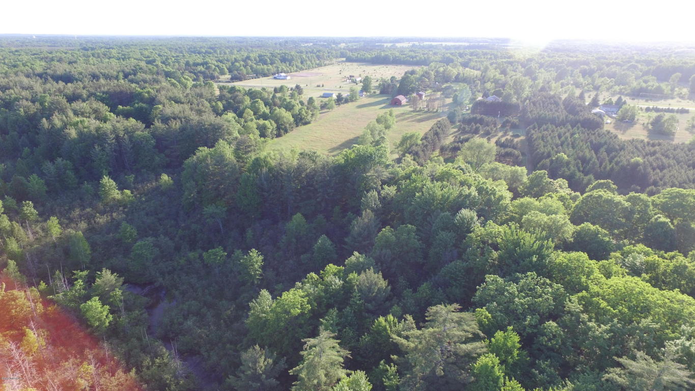 1224 N Spruce Ave, White Cloud, MI 49349 photo 48