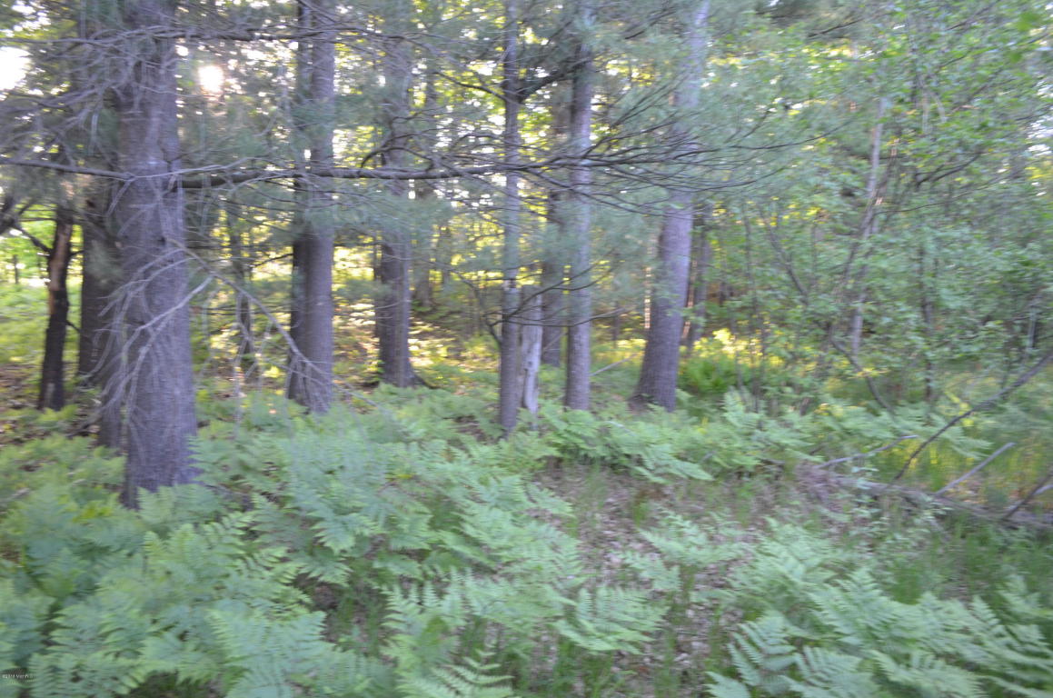 1224 N Spruce Ave, White Cloud, MI 49349 photo 30