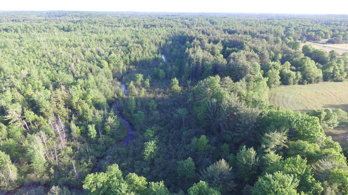 1224 N Spruce Ave, White Cloud, MI 49349 photo 49