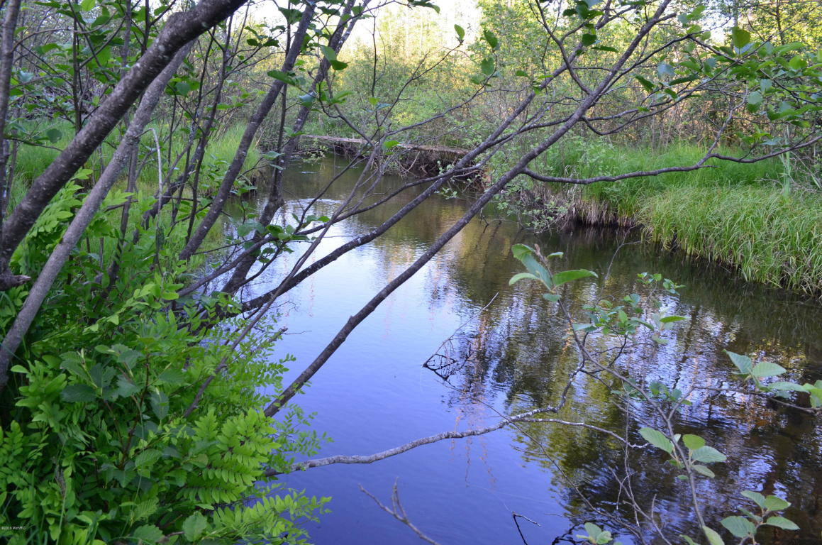 1224 N Spruce Ave, White Cloud, MI 49349 photo 28