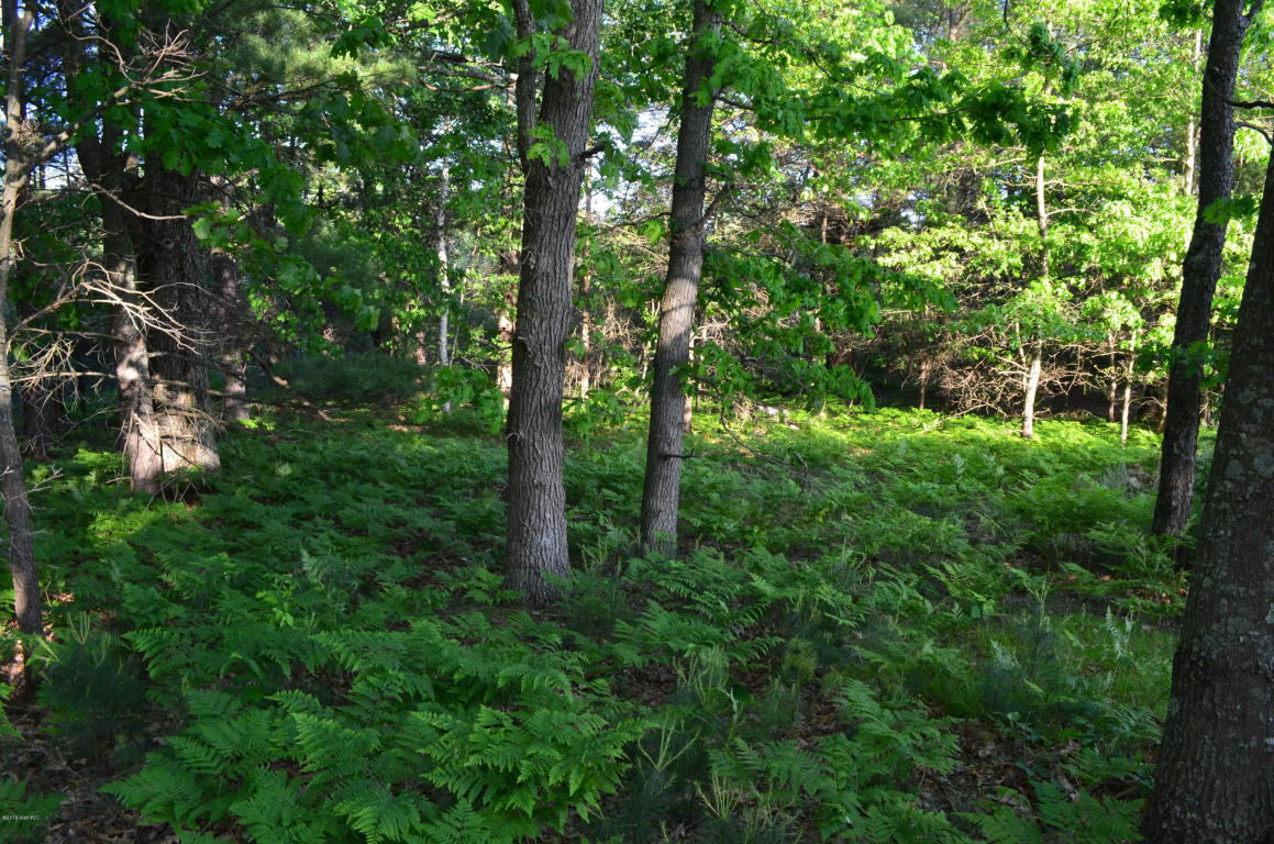 1224 N Spruce Ave, White Cloud, MI 49349 photo 24