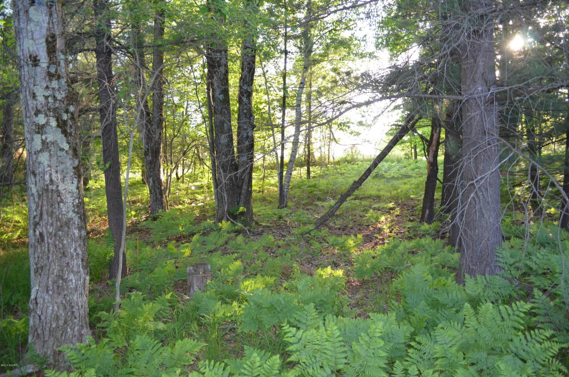 1224 N Spruce Ave, White Cloud, MI 49349 photo 31