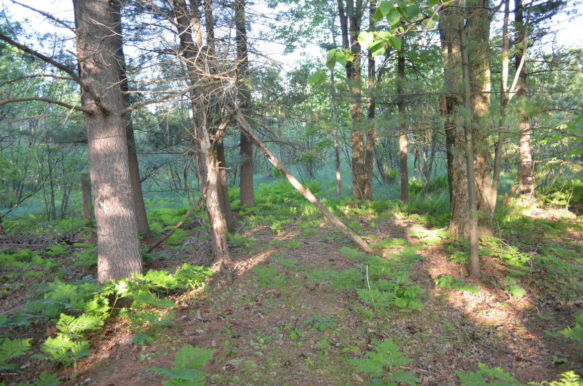1224 N Spruce Ave, White Cloud, MI 49349 photo 27