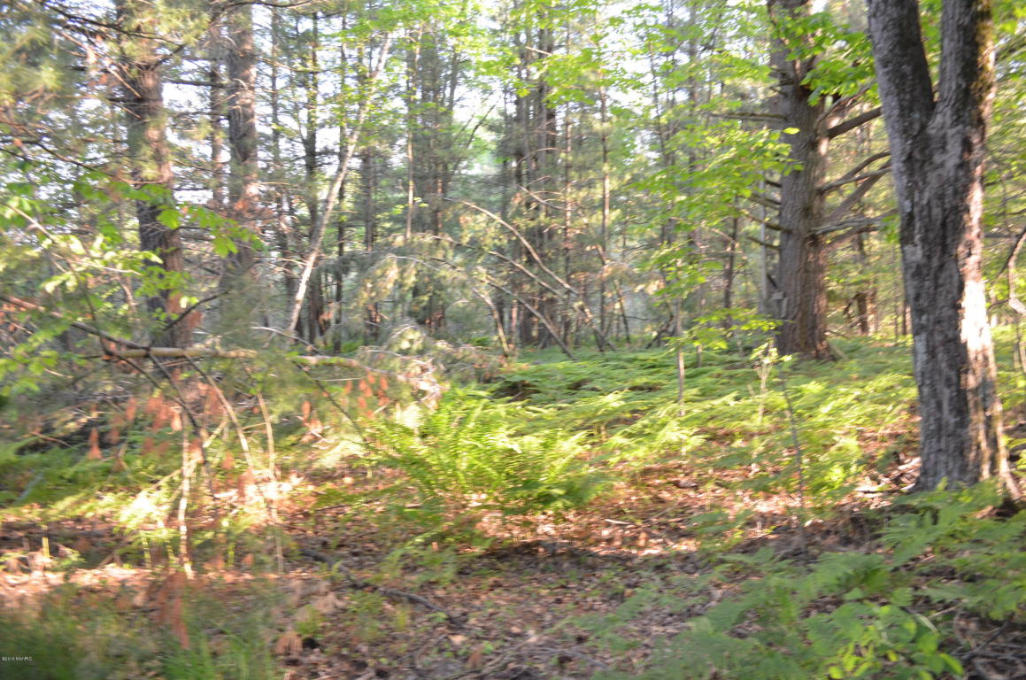 1224 N Spruce Ave, White Cloud, MI 49349 photo 32