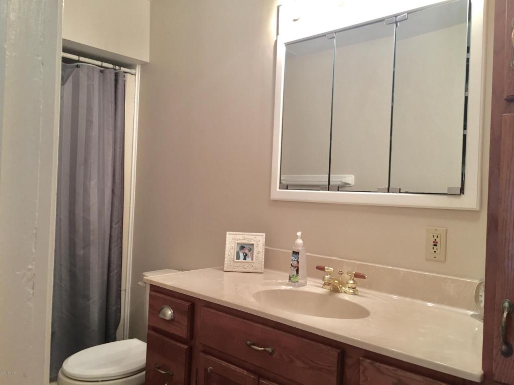 211 Elm St, Carson City, MI 48811 photo 43
