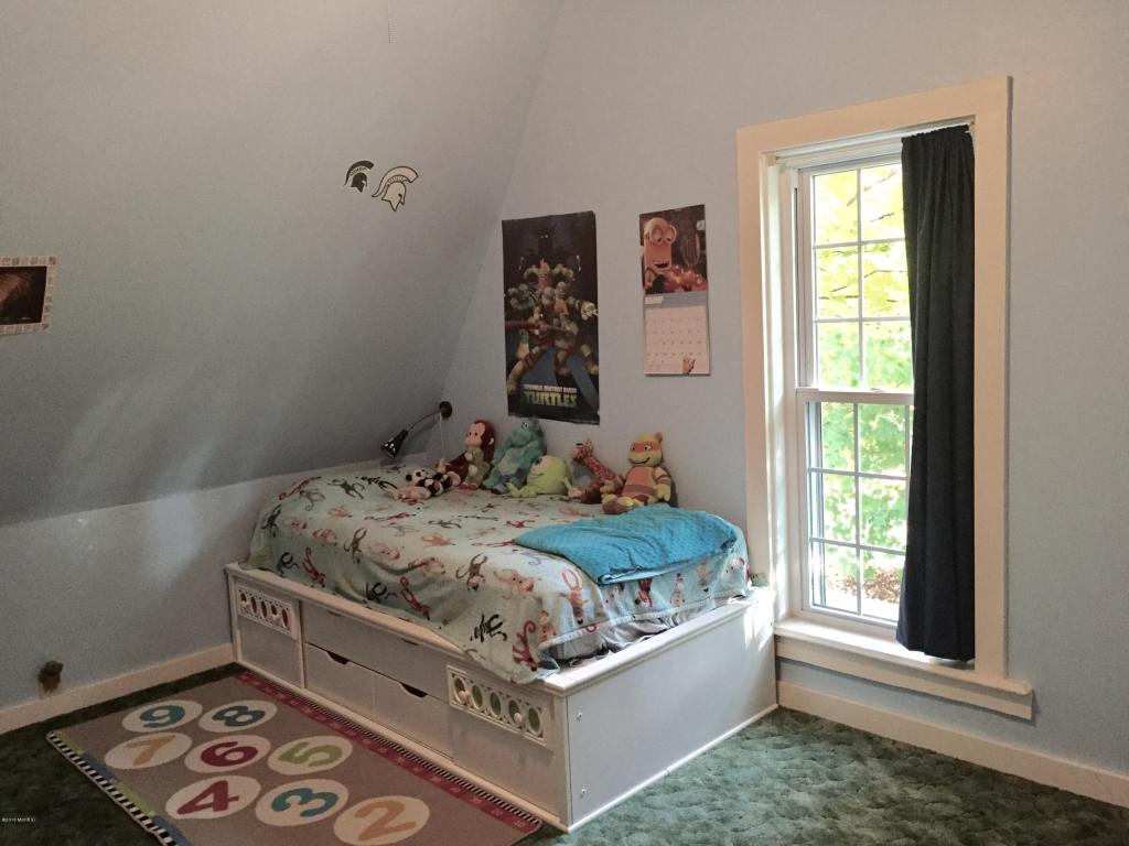 211 Elm St, Carson City, MI 48811 photo 53