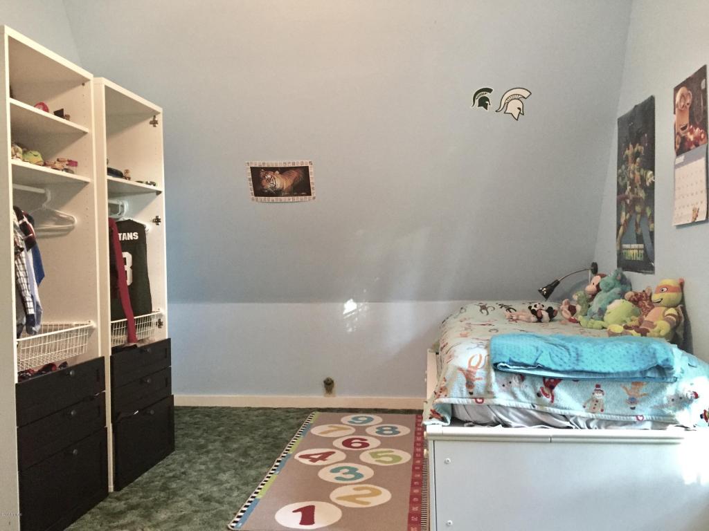 211 Elm St, Carson City, MI 48811 photo 51