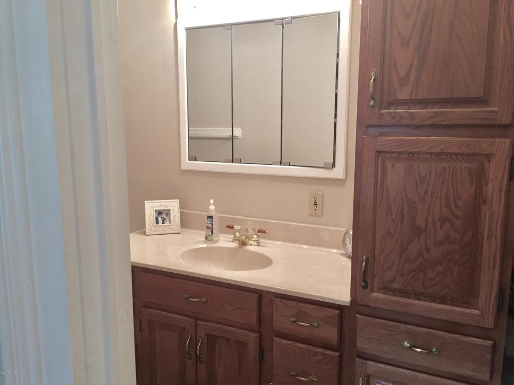 211 Elm St, Carson City, MI 48811 photo 44