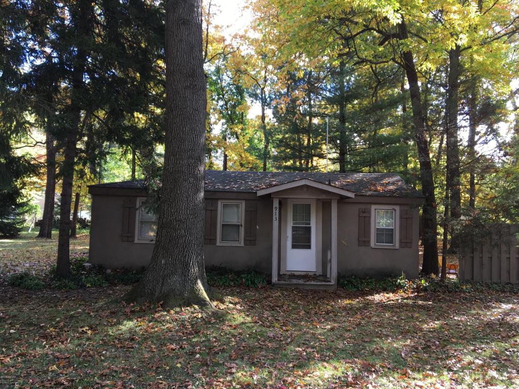 913 Maas Ln, Pullman, MI 49450 photo 1
