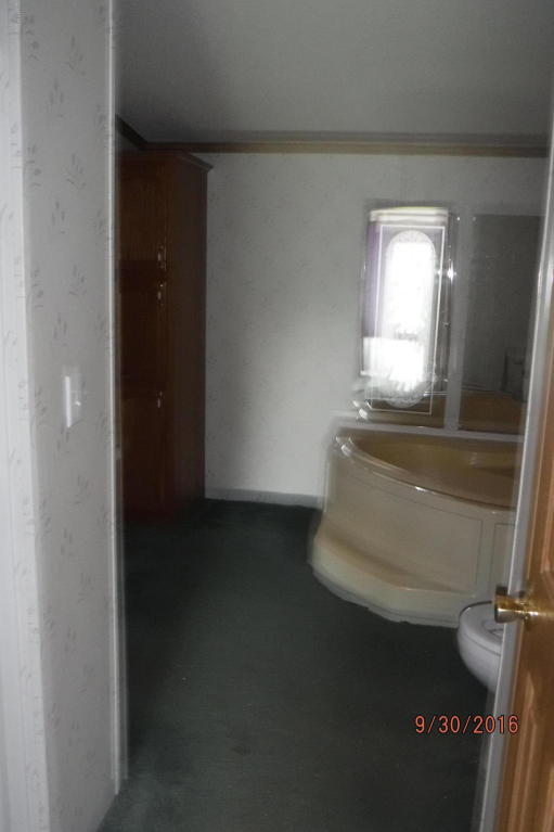 17633 Bailey Rd, Bailey, MI 49303 photo 10