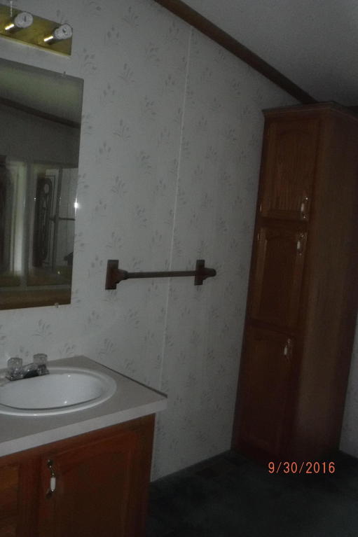 17633 Bailey Rd, Bailey, MI 49303 photo 11