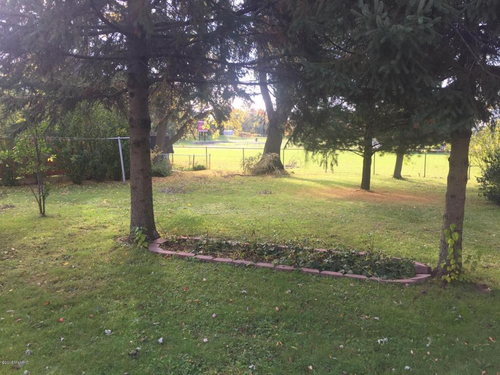 128 E Pine St, Fremont, MI 49412 photo 20