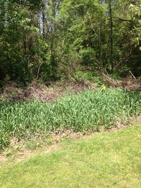19475 Partello Rd, Marshall, MI 49068 photo 29