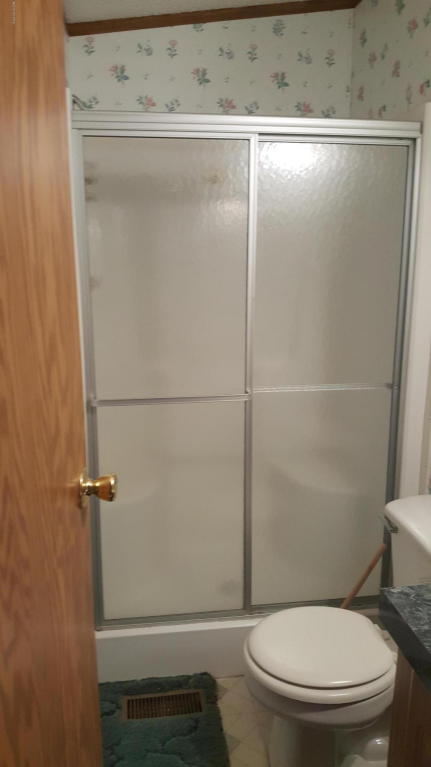 4641 S Forman Rd, Baldwin, MI 49304 photo 15