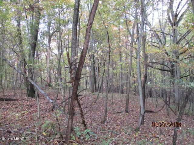 8751 Jones Rd, Bellevue, MI 49021 photo 7