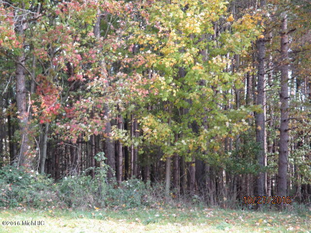 8751 Jones Rd, Bellevue, MI 49021 photo 9
