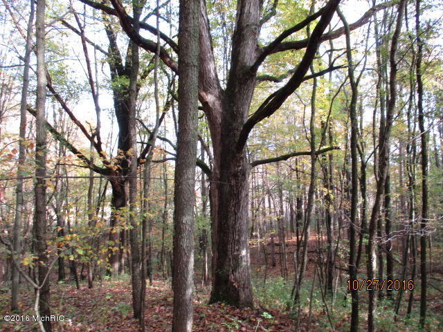 8751 Jones Rd, Bellevue, MI 49021 photo 6