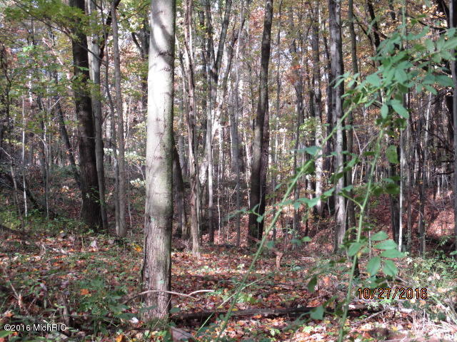 8751 Jones Rd, Bellevue, MI 49021 photo 5