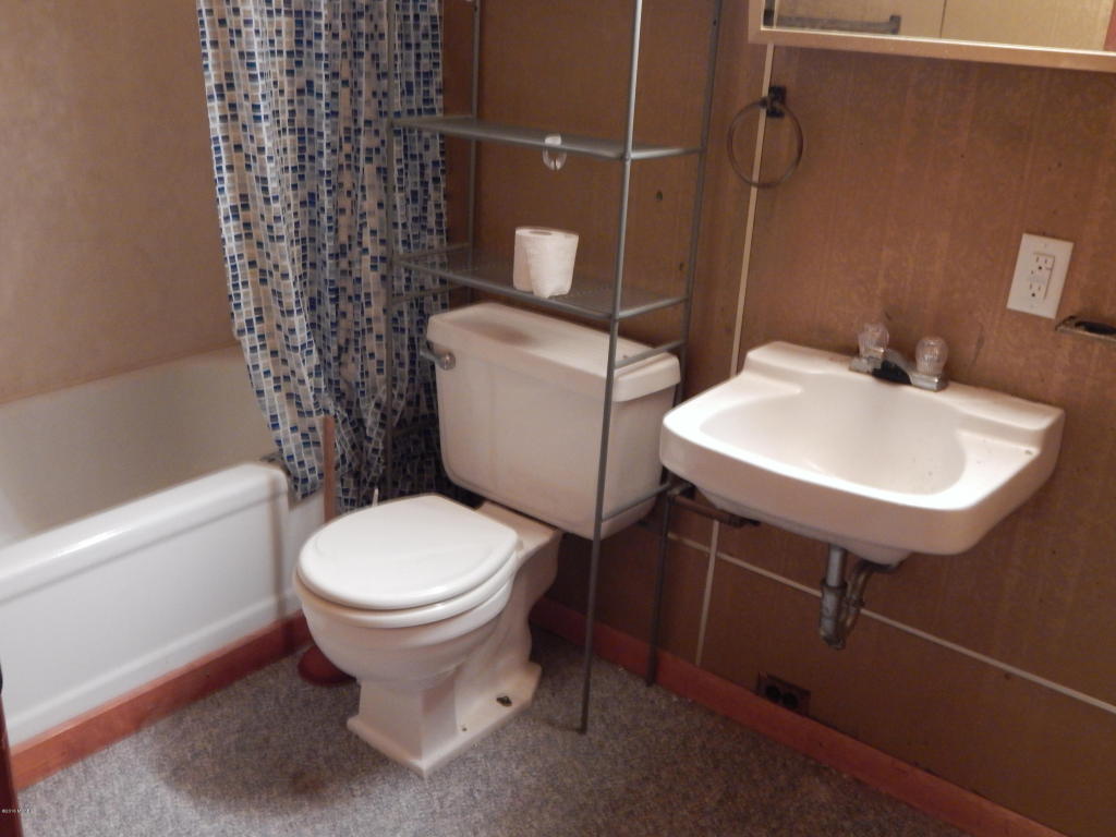 159 Quarterline, Newaygo, MI 49337 photo 25