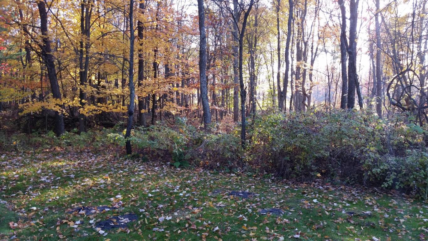 3111 E Decker Rd, Custer, MI 49405 photo 14