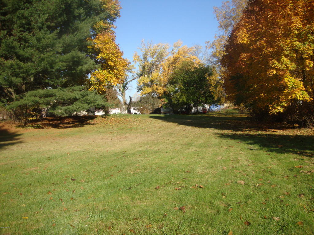 355 S Main St, Custer, MI 49405 photo 5